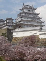 桜満開時の姫路城（縦位置）