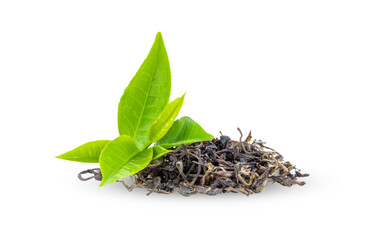 Fresh green tea leaves and dry  isolated on transparent png