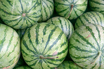 Fresh watermelons on shelves in  supermarket