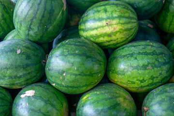 Fresh watermelons on shelves in  supermarket