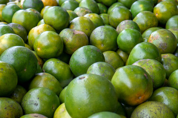 A pile of green oranges in the supermarket