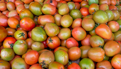 A pile of fresh tomato fruit in the supermarket