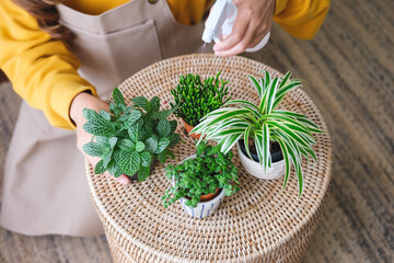 Top view image of a woman taking care and watering houseplants with plant mister spray at home