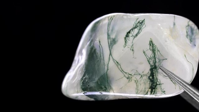 Moss agate jewel stone texture in tweezers on black background. Macro closeup. Moving right seamless loop backdrop.