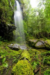 Naklejka na ściany i meble Waterfall hiding in the rainforest