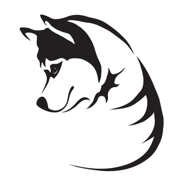 Image of a dog siberian husky design isolated on transparent background. Pet. Animals.