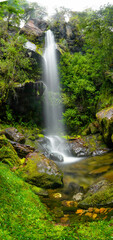 Naklejka na ściany i meble waterfall in the rainforest