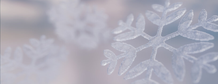 Winter Wallpaper with Elegant Frosty Snowflake. Festive Banner with copy-space.