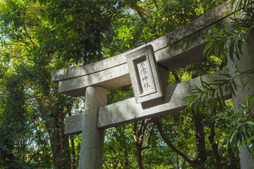 福岡 宗像大社 鎮守の杜の鳥居