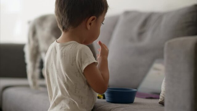 Cute latin toddler eating breakfast from a bowl with his hands while watching a movie on a tablet laying on the couch accompanied by his schnauzer