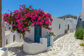 Traditional Cycladitic alley with a narrow street, whitewashed houses and a blooming bougainvillea...
