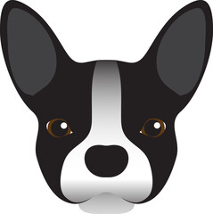 Boston Terrier dogs png