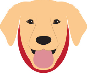 Labrador Retriever dogs png