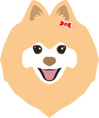 Fototapeta premium Pomeranian dogs png
