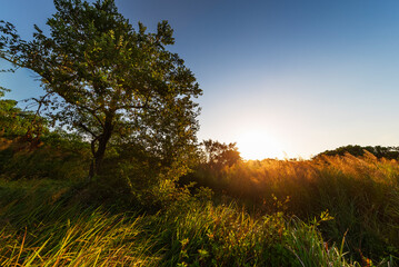 Idyllic landscape of countryside of Hong Kong under sunset