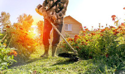 the gardener mows the grass with a trimmer