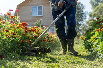 the gardener mows the grass with a trimmer