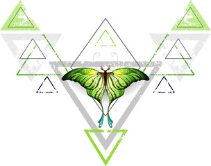 Geometric Pattern with Green Butterfly with shadow © Nelli Valova