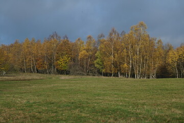 Herbstliche Landschaft im Sauerland

