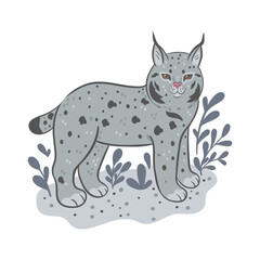 Cute forest lynx isolated on white background. Vector graphics.
