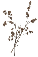 Dried flower decoration interior floral decor for wedding invitations, postcards or flower arrangements. 3D Rendering