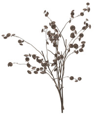 Dried flower decoration interior floral decor for wedding invitations, postcards or flower arrangements. 3D Rendering