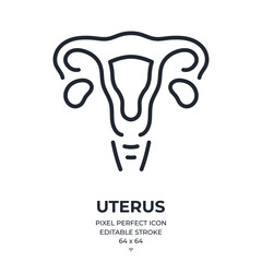 Uterus female reproductive system editable stroke outline icon isolated on white background flat vector illustration. Pixel perfect. 64 x 64.