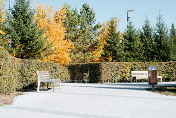 Public park, wooden benches, trimmed bushes on a sunny day