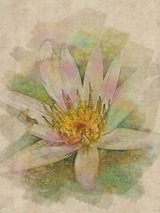 vintage background with lotus flower