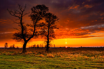 Naklejka premium Sunset