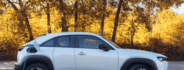 Charging an electric car in home,sustainable transportation concept.