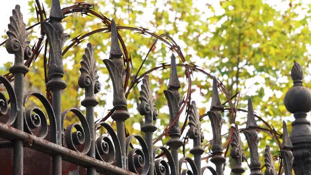 Old rusty iron fence with a coiled razor on a autumn leaf color background. Protection and security concept