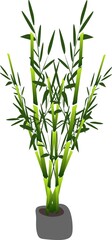 Abstract background. The illustrations and clipart. Bamboo plant in a vase.