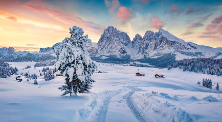 Happy New Year celebration concept. Snowy winter view of Alpe di Siusi village with Plattkofel peak on background. Amazing morning scene of Dolomite Alps with country road, Ityaly, Europe. - obrazy, fototapety, plakaty
