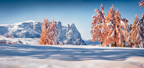 Panoramic winter view of Alpe di Siusi village. Bright morning scene of Dolomite Alps. Splendid landscape of ski resort in Ityaly, Europe. Vacation concept background.