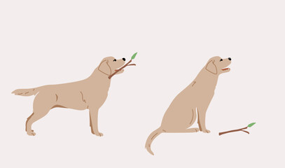 Labrador dog illustration. Set command for dog training. Cynologists. Animal education.