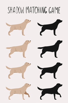 Labrador dog illustration. Set pos. Find the shadow game. Full color and silhouette.