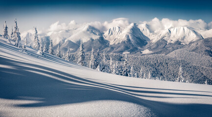 Nietknięty zimowy krajobraz. Śnieżna zimowa scena górskiej doliny z jodłami pokrytymi świeżym śniegiem w Karpatach - obrazy, fototapety, plakaty