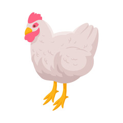 Isometric Rooster Illustration