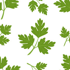 Seamless pattern with parsley. Herbs. Vector illustration. Flat style.	