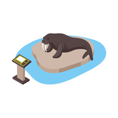 Isometric Zoo Walrus Composition