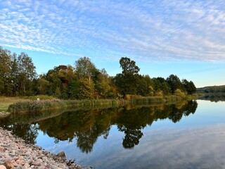 a body of water covered with plants around a park with different colors of trees and bushes in autumn