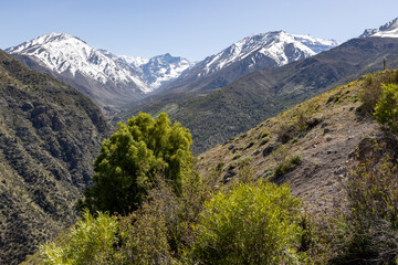 Fototapeta premium Mirador Tres Valles - Santuario de la Naturaleza Yerba Loca - Traveling Chile