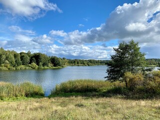 a body of water covered with plants around a park with different colors of trees and bushes in autumn
