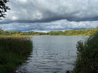 a body of water covered with plants around a park with different colors of trees and bushes in autumn