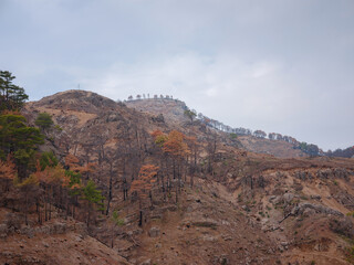 Turkey has been fighting forest fires since 28 July 2021. Forests in Manavgat after the 2021 fire. Works to remove burnt trees from taurus mountains of Antalya region, Turkey after the forest fire