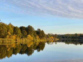 a body of water covered with plants around a park with different colors of trees and bushes in autumn