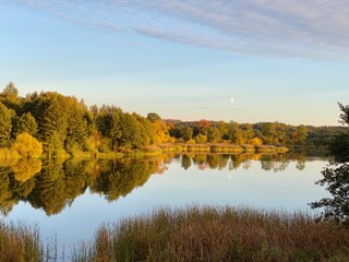 a body of water covered with plants around a park with different colors of trees and bushes in autumn