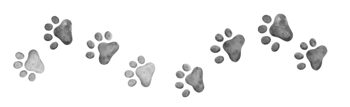 cat paw prints walking right and left gray or black and white watercolor border element