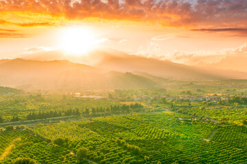 green beautiful valley with gardens and plantations and amazing mountains on background during sunset or sunrise